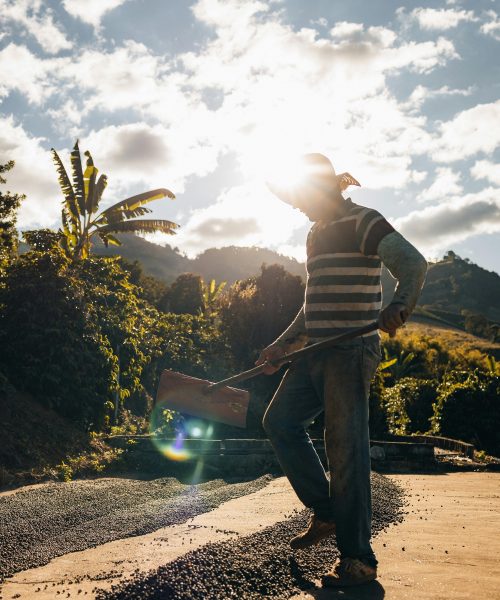 Novo estudo do IBGE destaca desigualdades regionais que impactam negociações sindicais