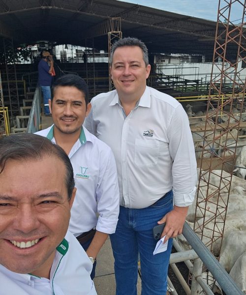 1ª etapa internacional do Circuito Nelore de Qualidade 2025, realizada na Bolívia, têm resultados divulgados