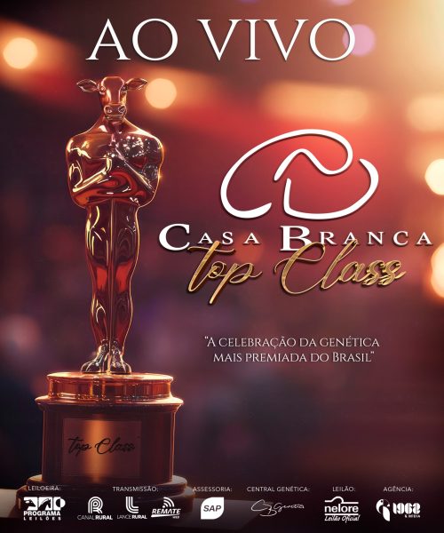 Leilão Casa Branca Top Class oferta a genética Nelore mais premiada do Brasil
