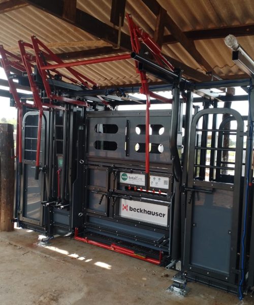 Escolha de equipamento de contenção bovina começa com o entendimento das necessidades do pecuarista e da fazenda